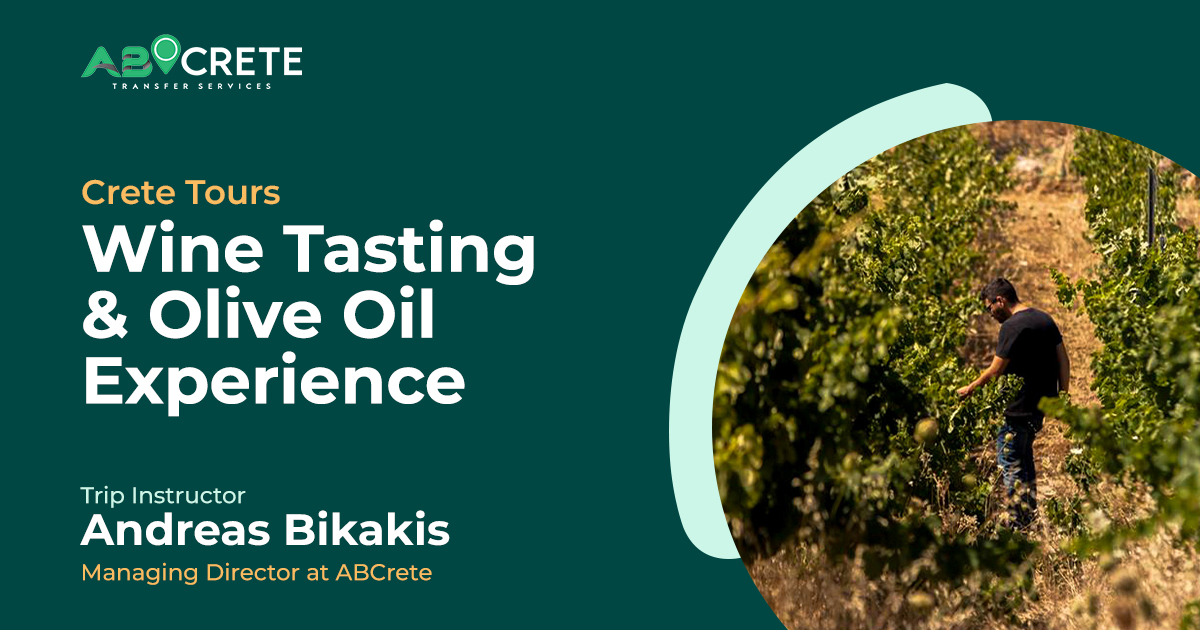 Wine Tasting & Olive Oil Experience
